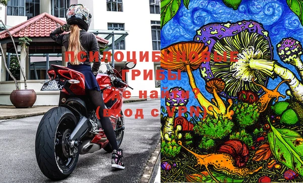 не бодяженный Покачи