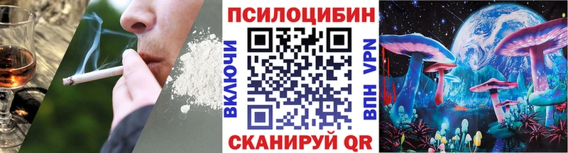 Псилоцибиновые грибы Psilocybine cubensis  Шимановск 